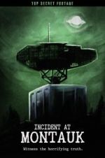Watch Incident at Montauk 123MoviesFree