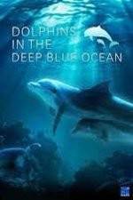 Watch Dolphins in the Deep Blue Ocean 123moviesfree