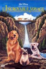 Watch Homeward Bound: The Incredible Journey 123MoviesFree