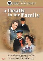 Watch A Death in the Family 123moviesfree