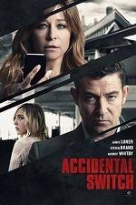 Watch Accidental Switch 123MovieFree