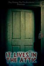 Watch It Lives in the Attic 123MovieFree