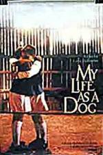 Watch My Life As A Dog 123MovieFree