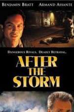 Watch After the Storm 123MovieFree