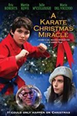 Watch A Karate Christmas Miracle 123MovieFree