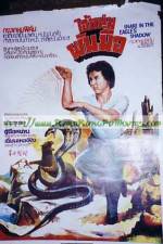 Watch Snake in the Eagle's Shadow II 123MovieFree