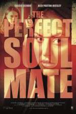 Watch The Perfect Soulmate 123MovieFree