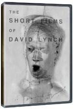 Watch The Short Films of David Lynch 123MoviesFree