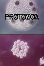 Watch Protozoa 123moviesfree