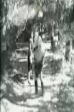 Watch A Little Orc's Tale 123MovieFree