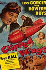 Watch Clipped Wings 123MovieFree