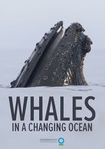 Watch Whales in a Changing Ocean (Short 2021) 123MovieFree
