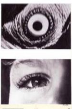 Watch The Searching Eye 123MovieFree