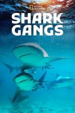Watch Shark Gangs 123moviesfree