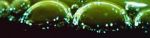 Watch Zea (Short 1981) 123MovieFree