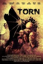 Watch Torn 123MovieFree