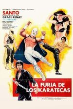 Watch The Fury of the Karate Experts 123MovieFree