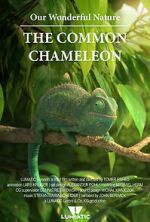 Watch Our Wonderful Nature - The Common Chameleon 123MovieFree