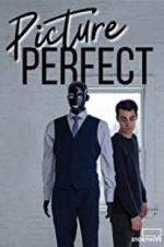 Watch Picture Perfect 123MovieFree