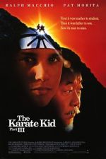 Watch The Karate Kid Part III 123MovieFree