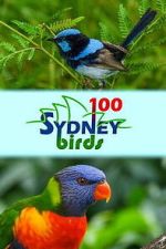 Watch 100 Sydney Birds 123moviesfree
