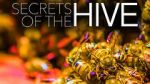 Watch Secrets of the Hive 123moviesfree