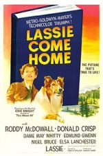 Watch Lassie Come Home 123moviesfree