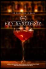 Watch Hey Bartender 123moviesfree