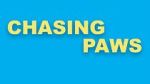 Watch Chasing Paws (Short 2020) 123MovieFree