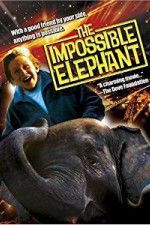 Watch The Incredible Elephant 123MoviesFree