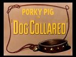 Watch Dog Collared (Short 1950) 123MoviesFree