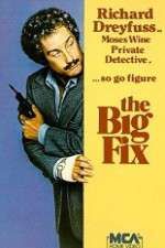 Watch The Big Fix 123MovieFree