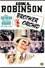 Watch Brother Orchid 123MovieFree
