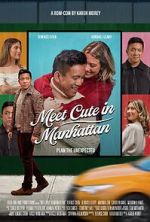 Watch Meet Cute in Manhattan 123moviesfree