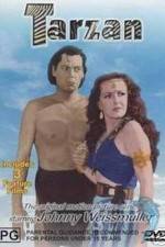 Watch Tarzan's Desert Mystery 123MovieFree