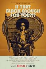 Watch Is That Black Enough for You?!? 123moviesfree