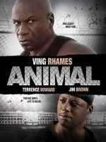 Watch Animal 123MovieFree