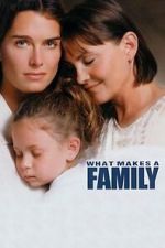 Watch What Makes a Family 123moviesfree