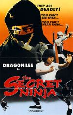 Watch Secret Ninja 123MovieFree