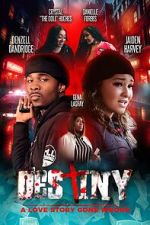 Watch Destiny: A Love Story Gone Wrong 123moviesfree