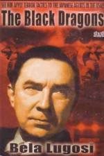 Watch Black Dragons 123MoviesFree