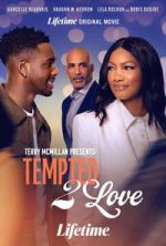 Watch Terry McMillan Presents: Tempted 2 Love 123MovieFree