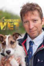 Watch The Yorkshire Vet Season 23 Episode 9 123moviesfree